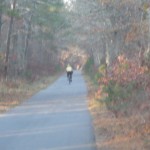 Bicycling the Cape Cod Rail Trail in the autumn