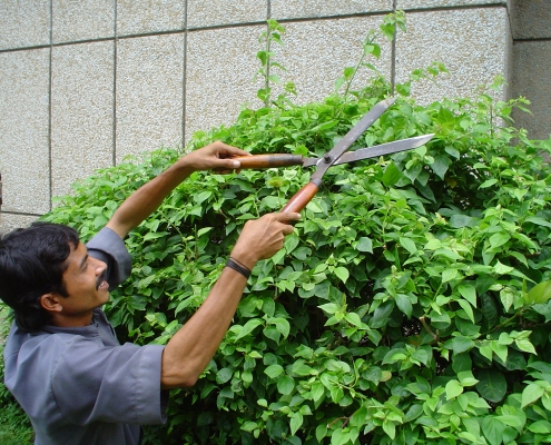 Trimming