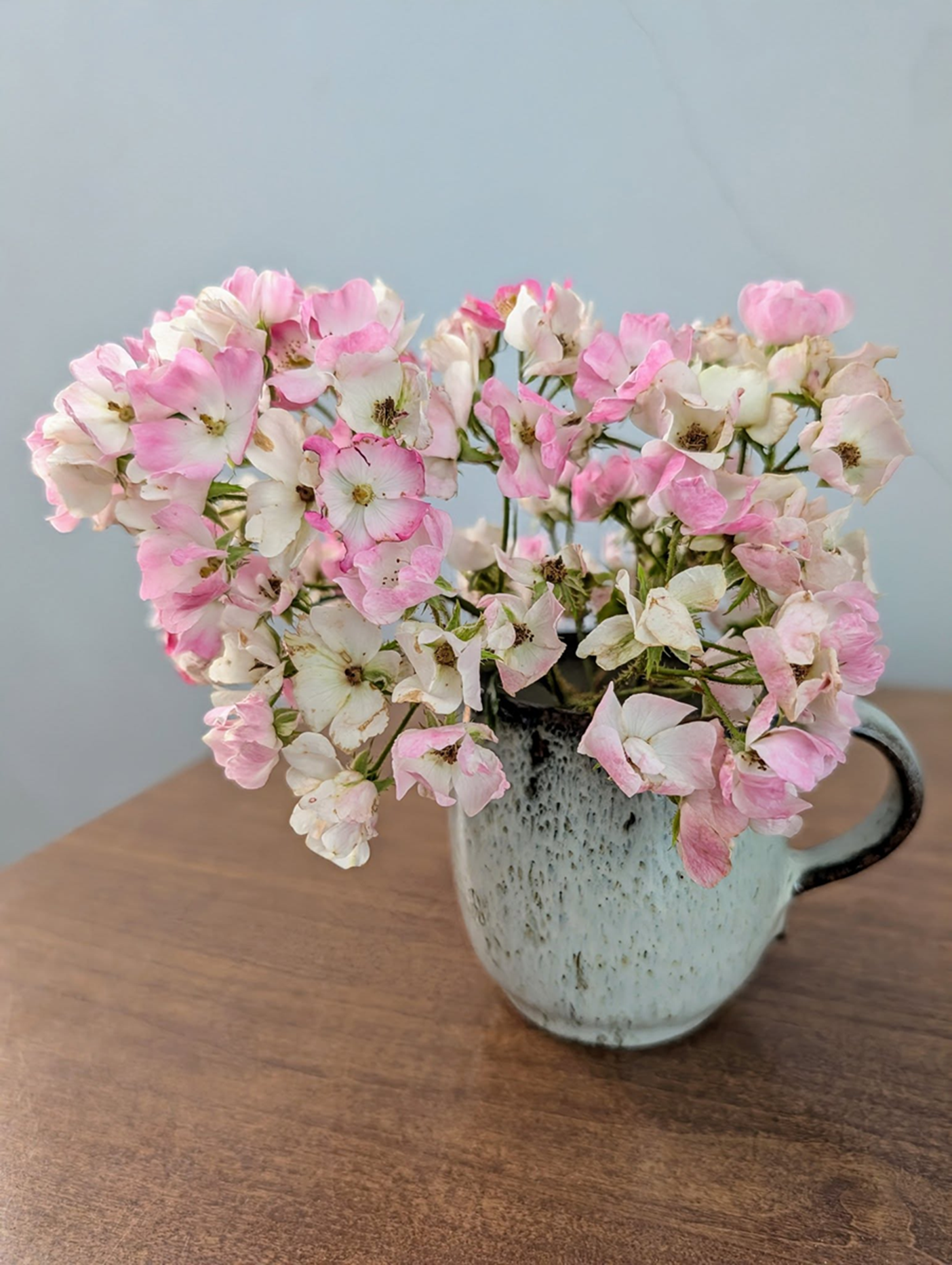 Ballerina roses in a Japanese mug